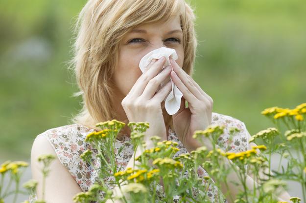 Październik – trudny dla alergików