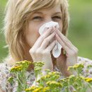 Alergia wziewna – zapobieganie i leczenie